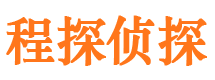 巴东侦探公司